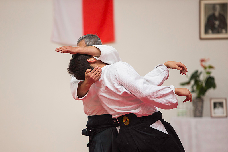 Seminarium z Sensei Arisue 2016